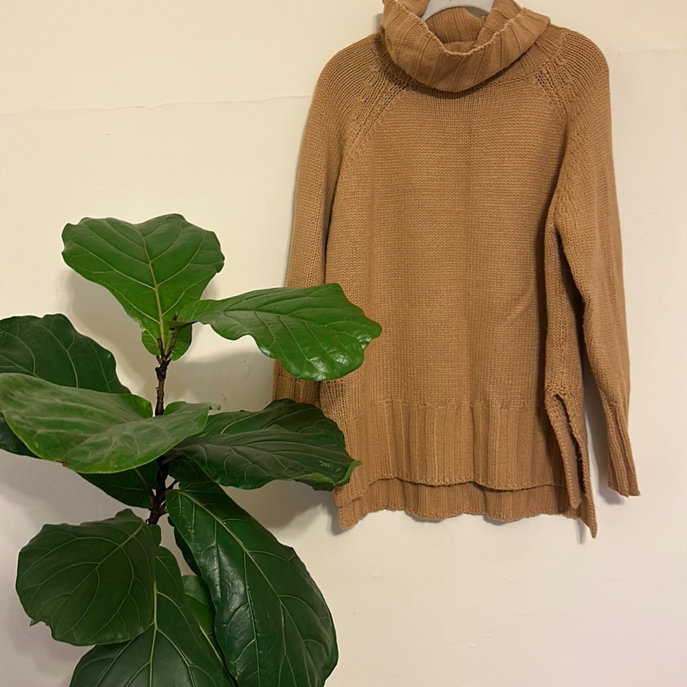 Brown wool turtleneck